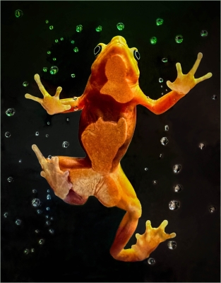 Tiled Image