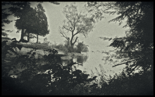 Tiled Image
