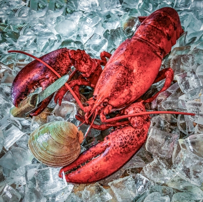 Tiled Image