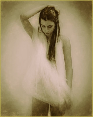 Tiled Image